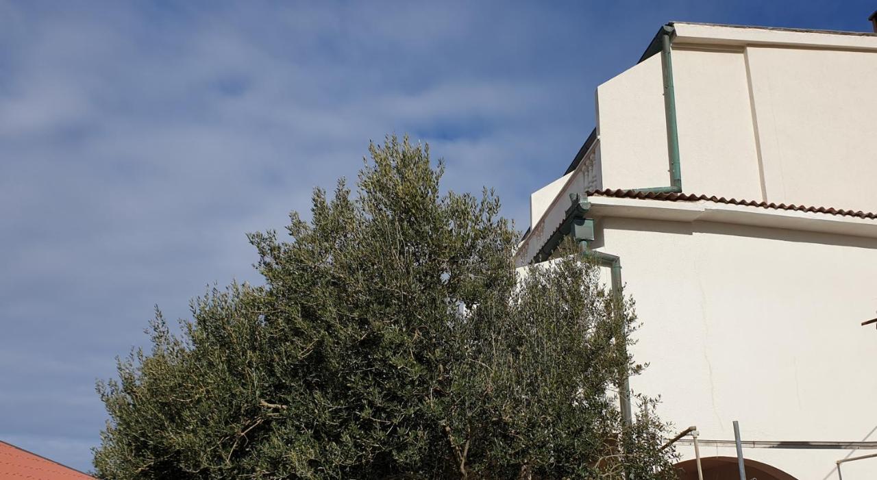 Bellavista Bed And Breakfast Паг Экстерьер фото